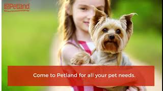 Petland Pensacola Has Premium Pets Much More