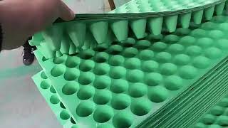 Discovery plastic seedling trays wholesale manufacturer supplier vendor factory tour