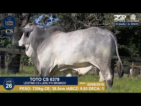 LOTE 26