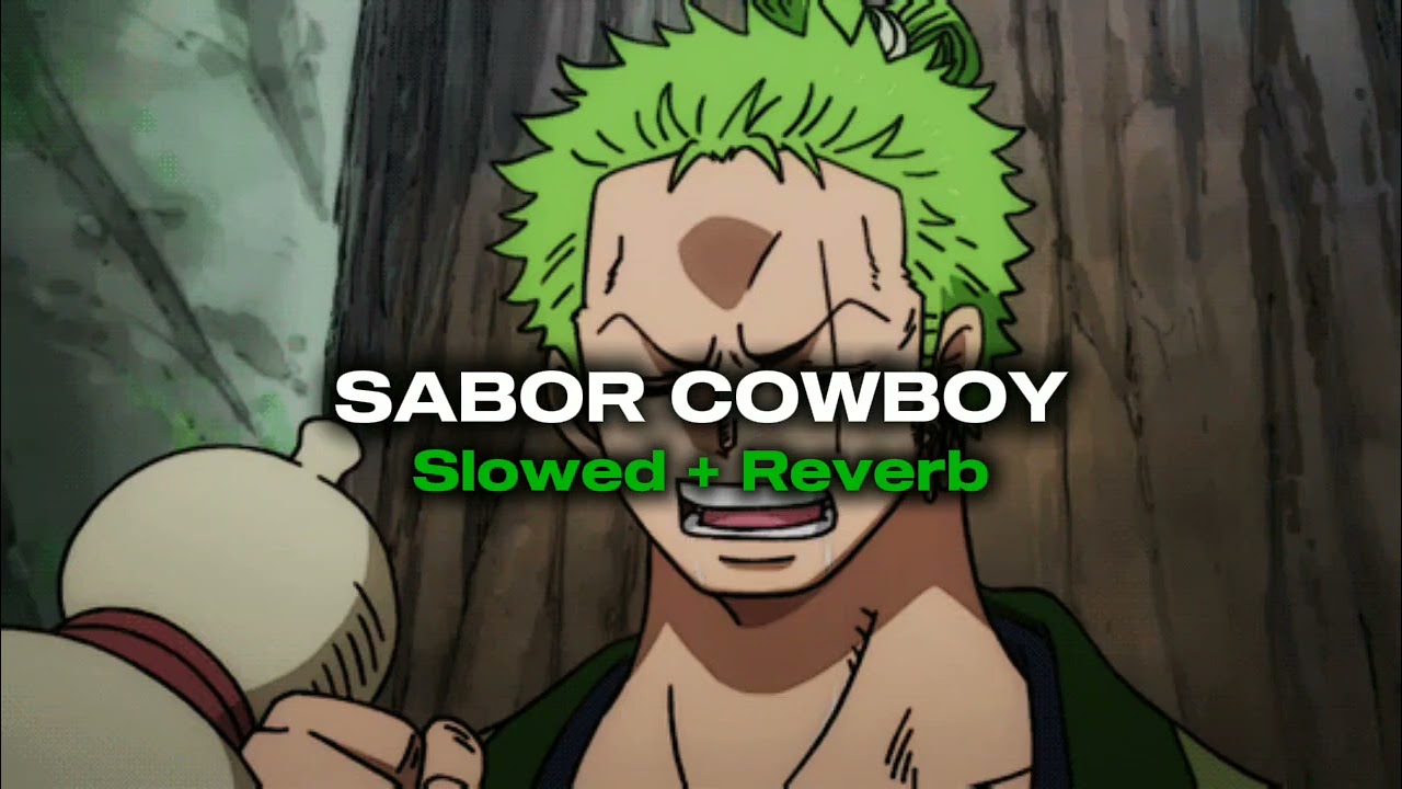 Sabor Cowboy - João Nelore e Texano, Marco Brasil Filho e Dj Kevin (Slowed + Reverb)