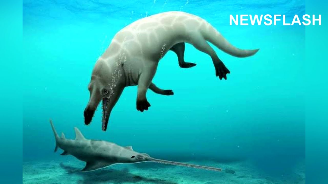 Whale Ancestor Had Legs And A Crocodile Snout