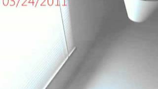 Capture 20110324