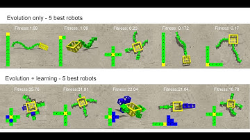 Evolutionary robotics | Embodied Intelligence | Evolvable Morphologies | Lifetime Learning