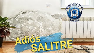 Curación de salitre