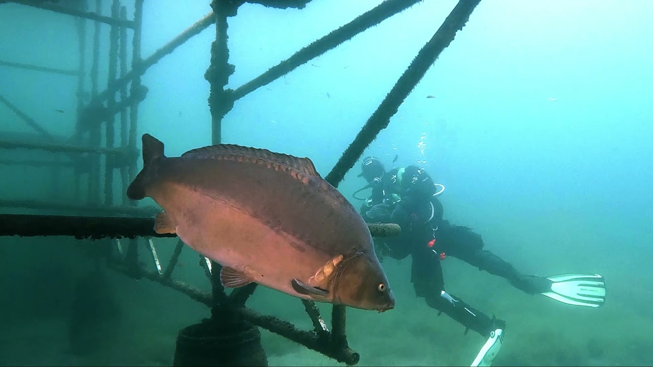 Ein Tag im Kulkwitzer See