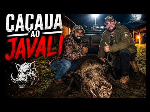 Caçada de JAVALI no sorgo com o parceiro @brutosdojava