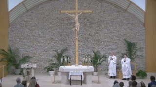 Holy Thursday Mass of the Lord's Supper