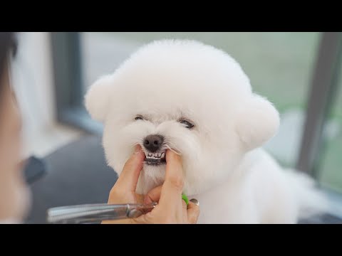 손님…어디가 마음에 안드세요..? (너무 귀여워 화남)