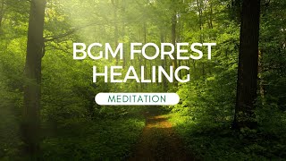 BGM healing music ! Forest Meditation music ! BGM healing music meditation music healing sleep !