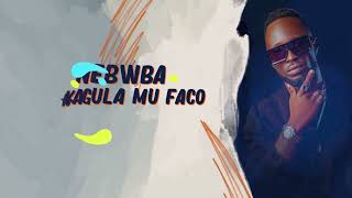 Mikie Wine   Labisa  *Official  Lyrics Video*