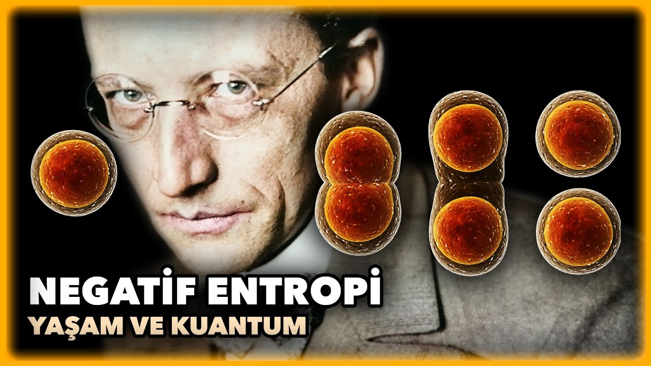 Yaşam Fizik Yasalarına mı Dayanır? | Schrödinger’in Tartışmalı Hayatı