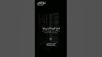 #سورة_القصص ||حالات واتس قرآن ||القارئ#عبدالله_القرافي #تلاوة_هادئة #المصحف #لايك #راحة_نفسية