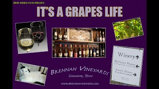 Finding Fine Wine at Brennan Vineyards in Comanche, Texas