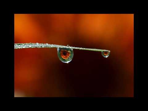 O. Merikanto: Laulu (Song), op. 92 no. 1