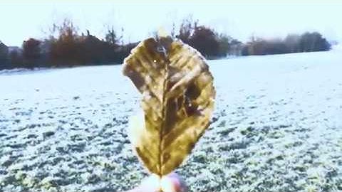 Daydreaming Vignette - Morgan Perry