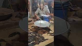 wholesale fish market......#sell #vairalvideo #short #reels #youtubeshorts #highilts