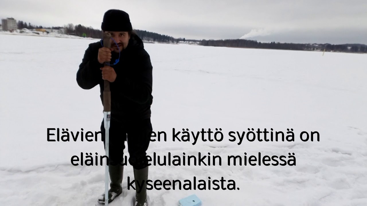 Kenttätehtävänä laittomien pyydysten takavarikointi