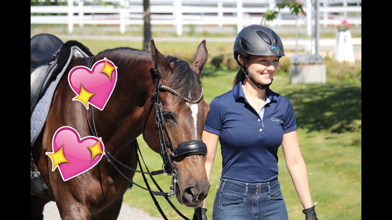 ♘ STALLVLOGG ♘ En dag med mig och hästarna!