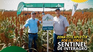 Eco Rural  | Emisión #2  | Julio 2022