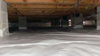 Spring Termite &amp; Moisture Damage Inspection Tips for Somerville, TN | In-House Inspections LLC