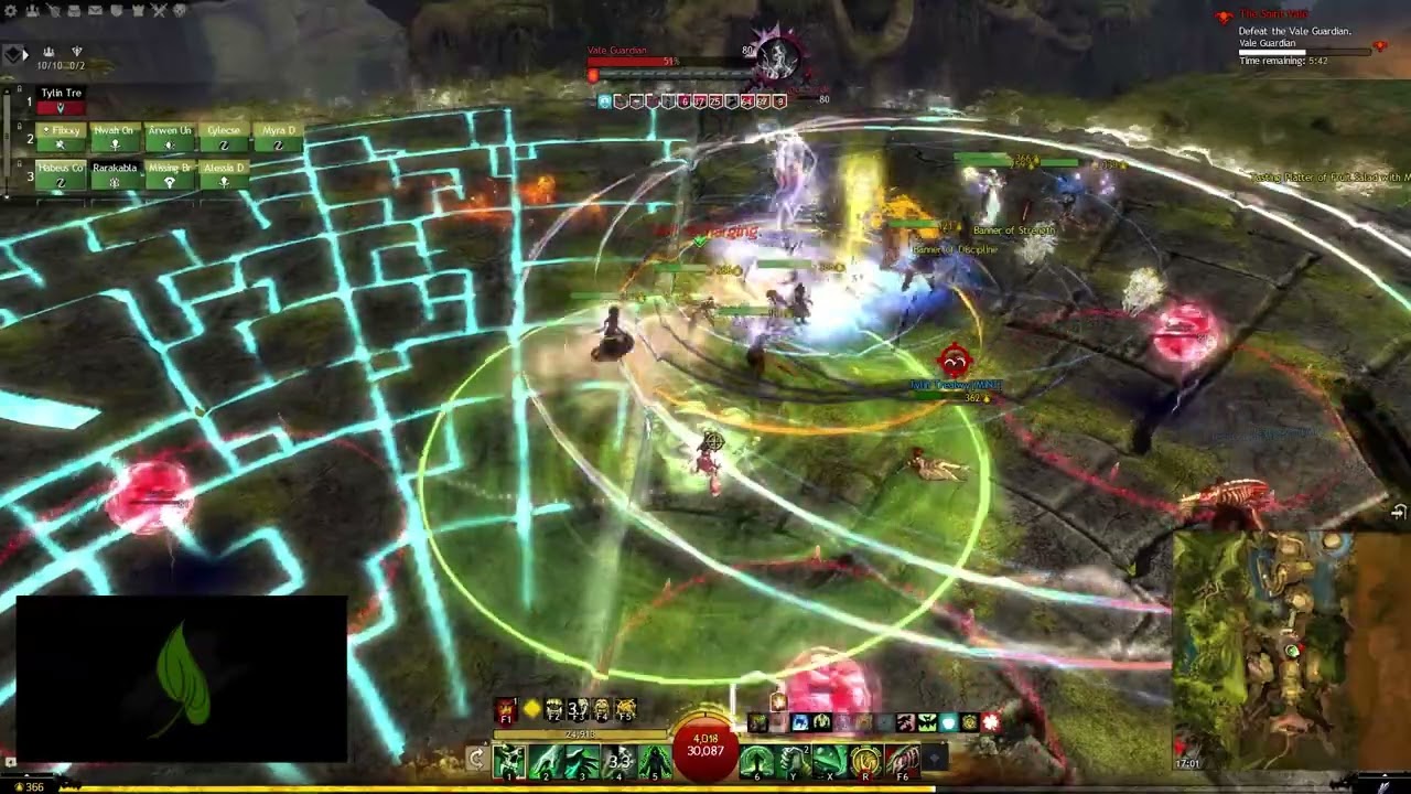 Vale Guardian Elementalist Positioning Guide