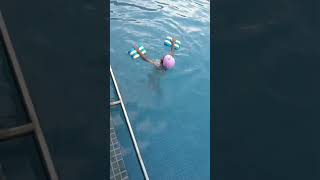 Training hard ✌️✌️🏊♀️ #water #pool #swim #practice #girl #fyp #trend #viralvideo