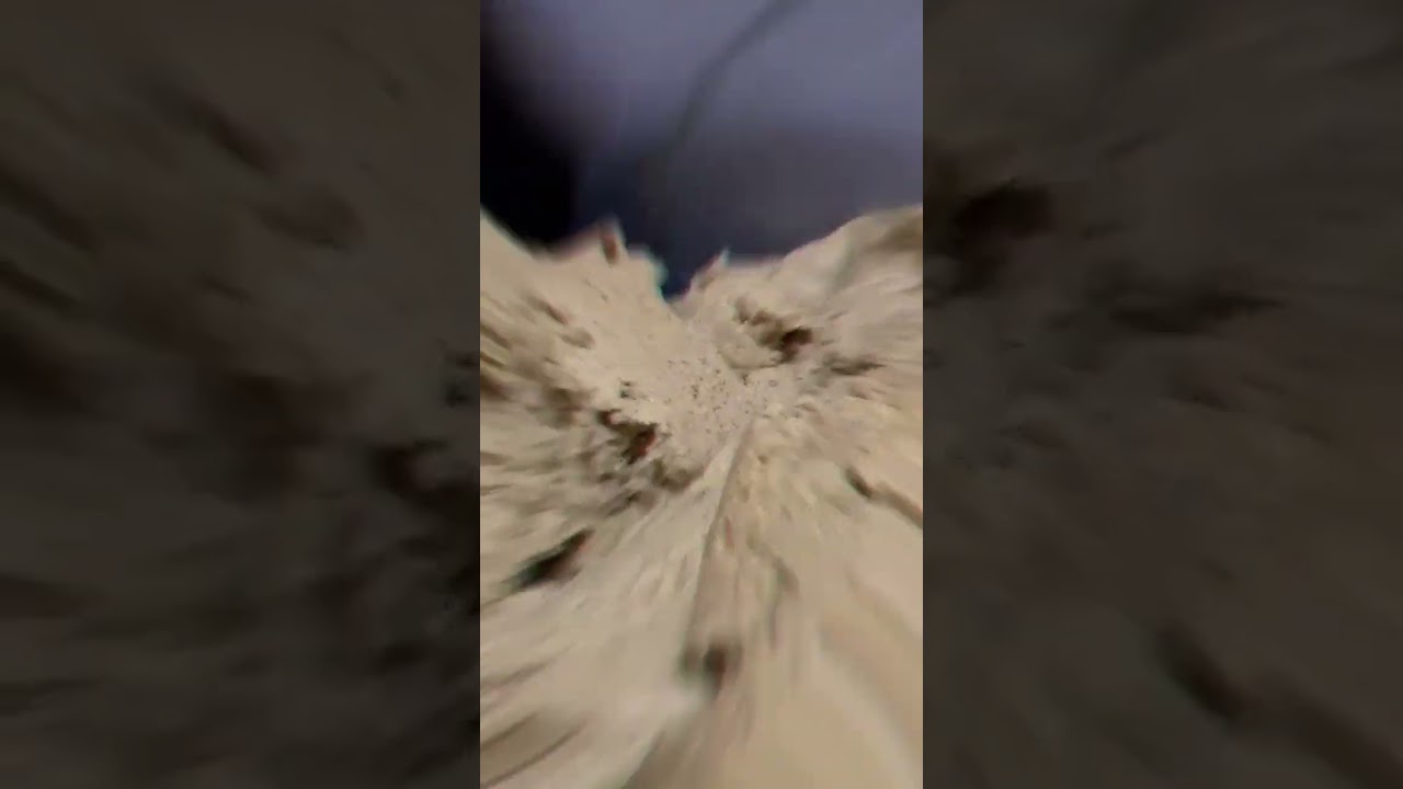 Getting ready for Carp Den Bosch 2024