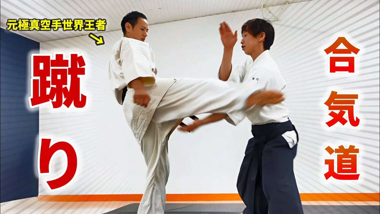 [Karate x Aikido] Aikido techniques against kicking techniques