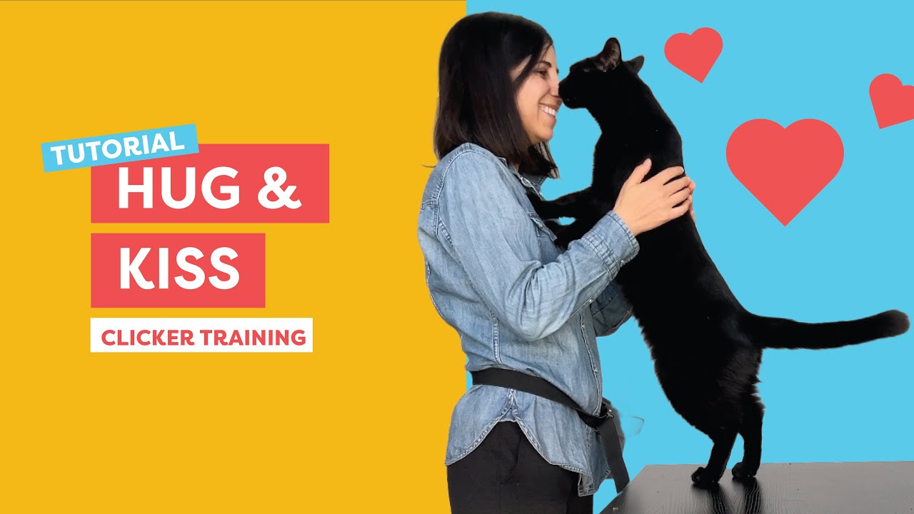 Teach Your Cat an ADORABLE TRICK: Hug and Kiss