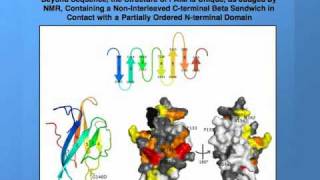 Conquering Cancer Ten Years Of Faim