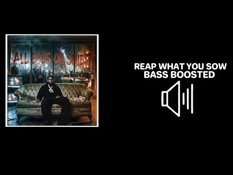 Pooh Shiesty - Reap What You Sow | Bass Boosted🔊 [ALL EYES ON SHIEST]