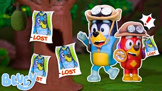 BLUEY, Be careful! Bluey's Lost & Found Adventure | Lessons Safety For Kids by Doodles Experiments 7,163 views 8 days ago 1 hour, 3 minutes