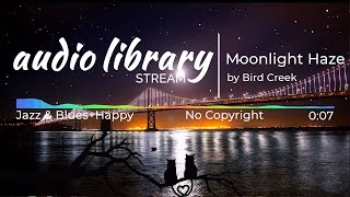 Moonlight Haze by Bird Creek - No Copyright Safe Background Music for Content Creators