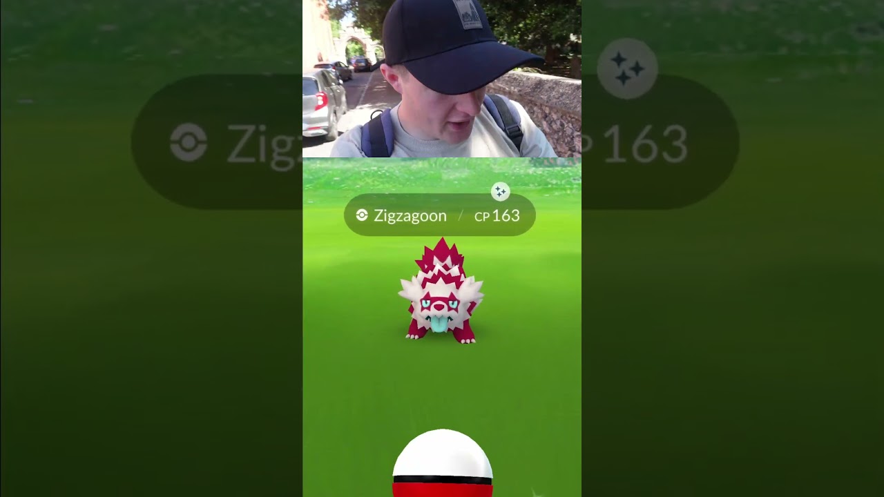 Throwback To Zigzagoon Community Day In Pokemon Go! 