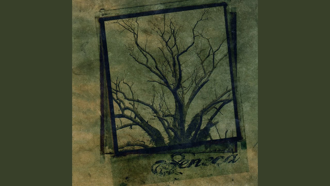 Almost Lovely, Almost Nothing