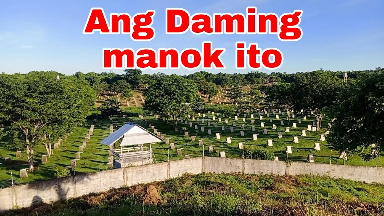  Bike trip to villa Isla Munoz science city Nueva ecija Buhay