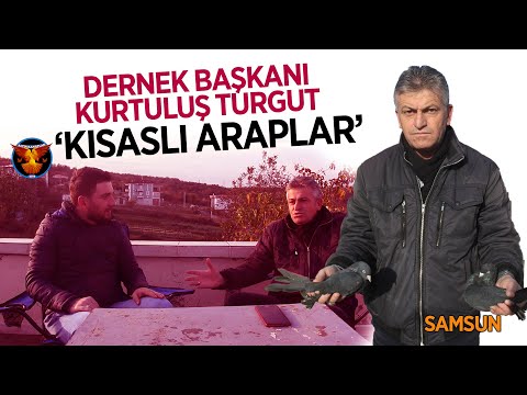 GÜVERCİNLER HAKKINDA DOLU