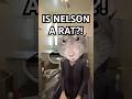 Uncle Nelson may spend a long time in prison... #schedule1