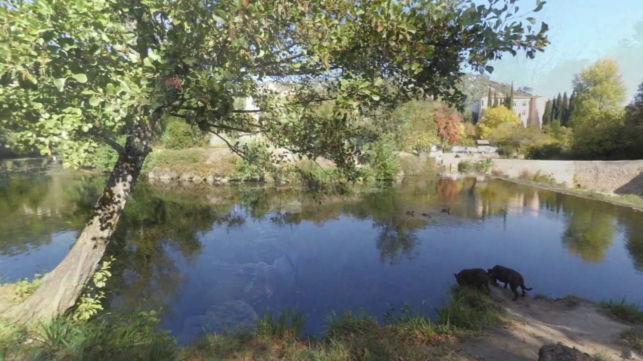 Lac De Vins Sur Caramy Baignade Interdite