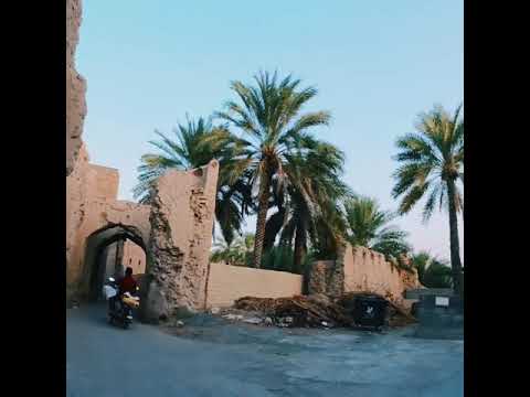 وتجل ت لي ع مان