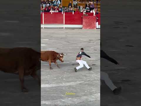 Última suerte de la semifinal del concurso de maestros de la calle Castellón 2025