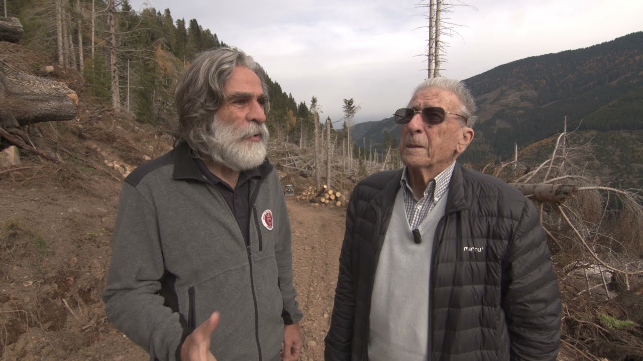 Il dopo Vaia, due tempeste a confronto