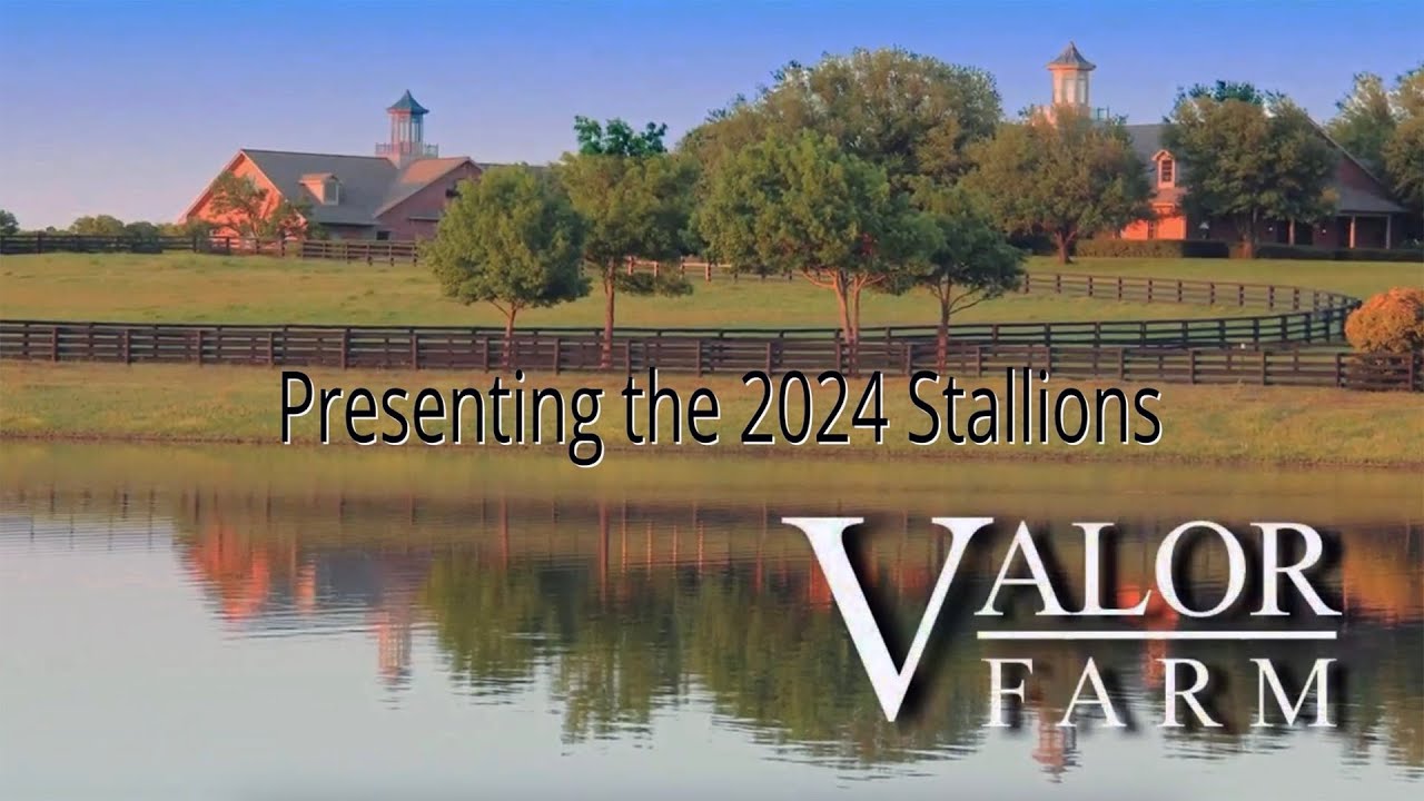 Valor Farm 2024 Stallions Preview YouTube