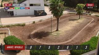 Live Hippodrome «SETTAT» du 11/08/2026 Guide