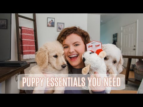 PUPPY ESSENTIALS HAUL