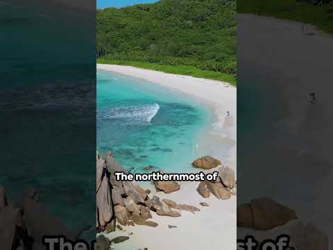 Hidden Gems: The