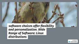What Is Linux Operating System