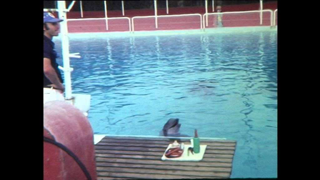 Fillm Super 8 sur DVD