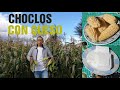 CÓMO COCINAR CHOCLOS CON QUESO