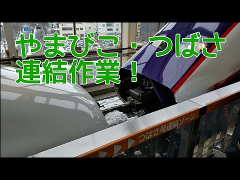 東北新幹線 やまびことつばさの連結作業！